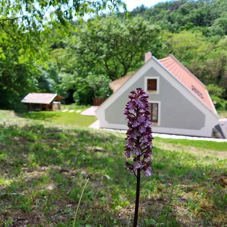 Апартаменты Kosbor Vendeghaz Monoszlo Экстерьер фото